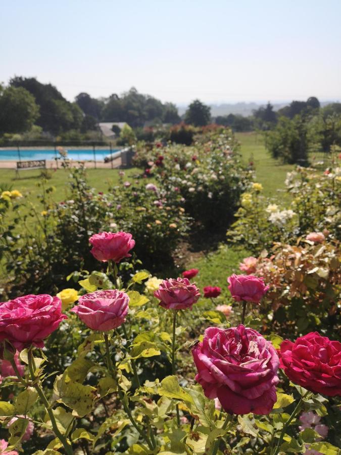 Gite De La Roseraie Louchy-Montfand Luaran gambar